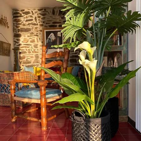 Il Conventino Delle Cinque Terre - Sea View - Ac&wifi - Vernazzarentals Βερνάτσα
