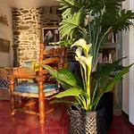 Il Conventino Delle Cinque Terre - Sea View - Ac&wifi - Vernazzarentals Vernazza
